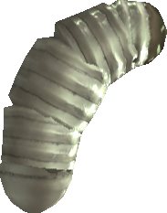 Aurli Larva
